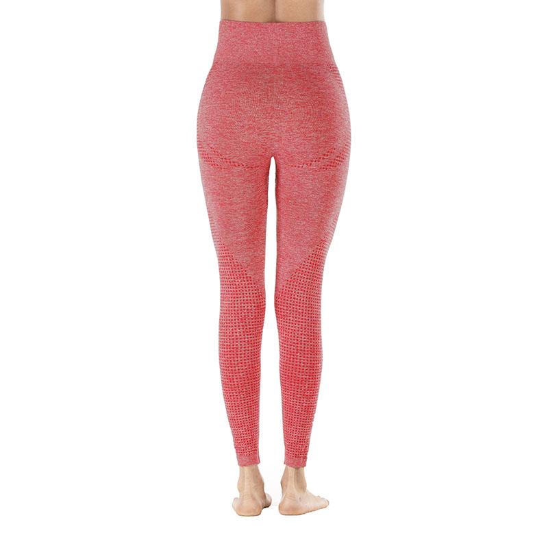 Workout Sporting Seamless Leggings