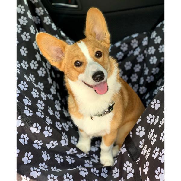 Waterproof Hammock Convertible Car Seat Cover