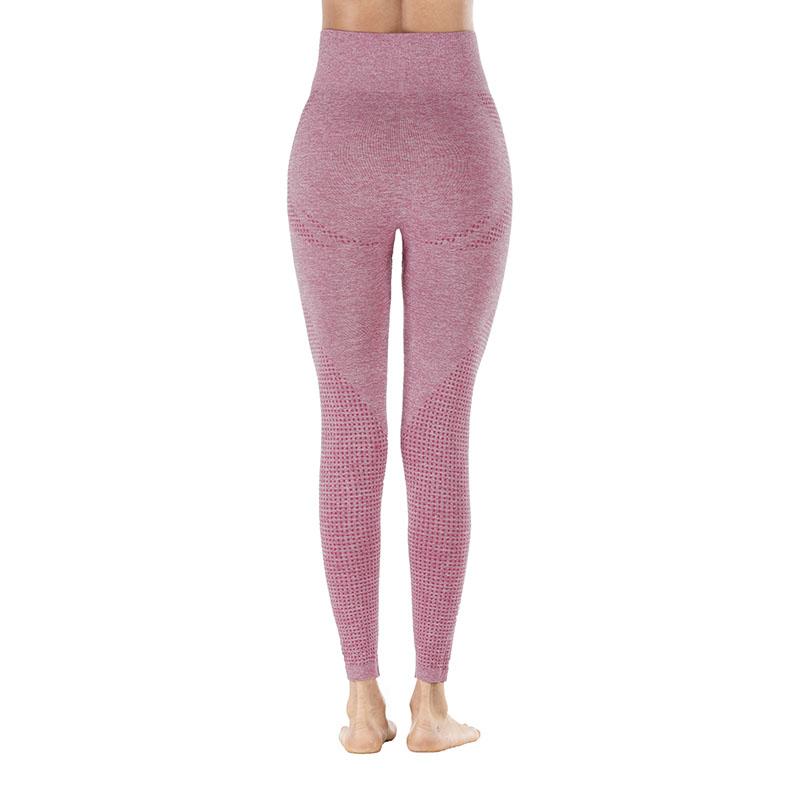 Workout Sporting Seamless Leggings