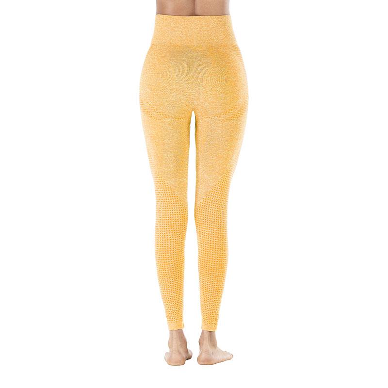 Workout Sporting Seamless Leggings