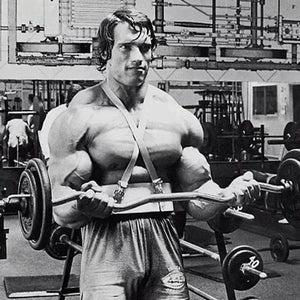 Weightlifting Bicep Support